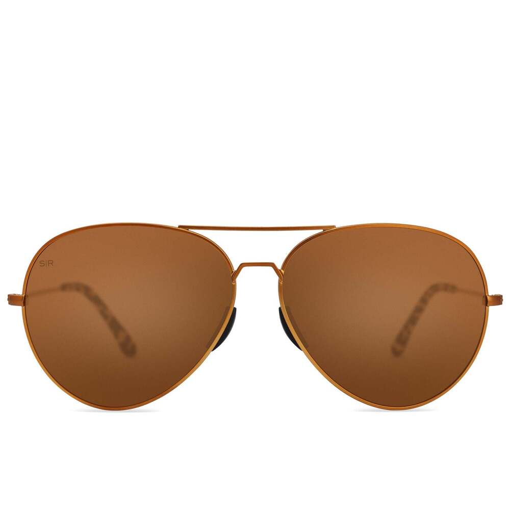 Tangle Free Aviator - Prairie Tortoise Polarized - Image 2
