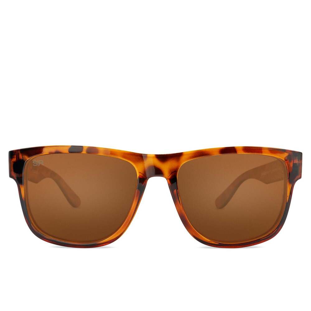 Mojave - Amber Tortoise Polarized - Image 2