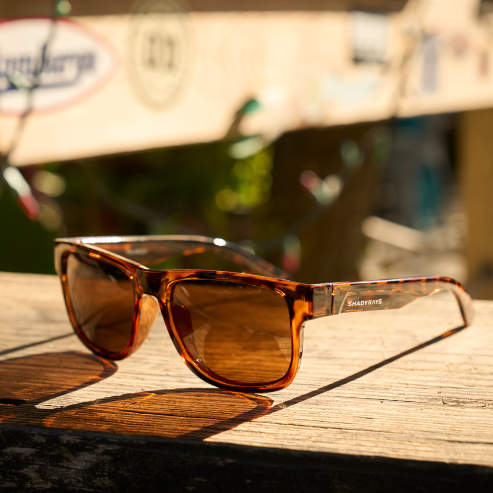 Mojave - Amber Tortoise Polarized - Image 4
